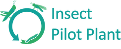 INSECT PILOT PLANT